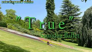 True  Spandau Ballet  Lyrics video [upl. by Nyltyak]