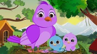 Chidiya Rani Badi Sayani  Hindi Balgeet  चिड़िया रानी  Hindi Poems For Kids  Kids Tv India [upl. by Julita978]