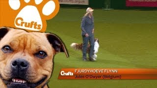 Heelwork To Music  International  Winner  Fjurdyhoeve Flynn  Crufts 2013 [upl. by Yelrebmyk19]