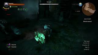 The Witcher 3 Wild Hunt  Niellen Werewolf BossFight Death March [upl. by Suzie222]