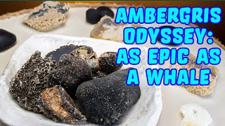 Ambergris Odyssey Unraveling Perfumerys Enigmatic Treasure as Epic as a Whale [upl. by Corie998]