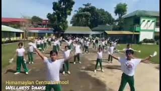 Himamaylan Central School  Wellness Dance [upl. by Paryavi]