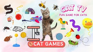 CAT GAMES  BEST GAME VIDEO SPECIAL EPISODE  CAT TV  11 Hours🐹🐙🏀🦒🐭😺🐝🐞🦋 [upl. by Ddart939]