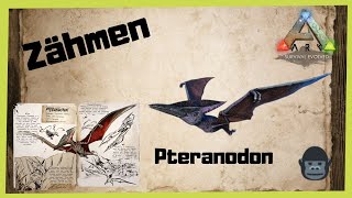 Zähmen leicht gemacht🦖Der Pteranodon 🦖ARK‬ Survival Evolved 2021 INFO GUIDEDeutsch Zähmen [upl. by Lizzie]