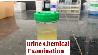 Urine Chemical Examination [upl. by Ssalguod225]