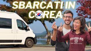 Vanlife in Corea del Sud 🇰🇷🚐 [upl. by Anawek]