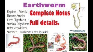 Earthworm Structure Morphology Digestive System And Complete Notes [upl. by Adnolaj]