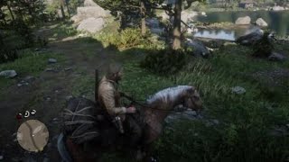 Red Dead Redemption 2 matando oso con cuchillo [upl. by Tynan]