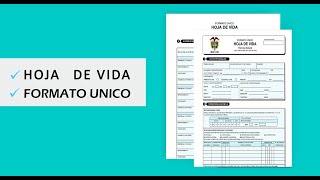 Cómo Hacer una Hoja de Vida en Formato Único  en Word ➕ Plantilla GRATIS  Tutorial Paso a Paso [upl. by Ijok]