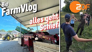 Besuch vom Fernsehen amp ich mache nur Mist 🥔 Roden amp einlagern  Dinkel drillen amp mehr  Vlog 123 [upl. by Elaynad652]