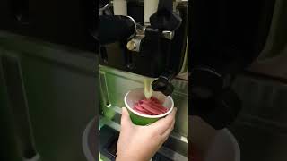 cayman islands  video satisfying ice cream yogurt sweet yogurt satisfying [upl. by Tfat]