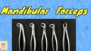 Mandibular Forceps  Identification and uses  Lower extraction forceps [upl. by Danie]