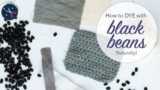 Black beans dye yarn or fabric grey  blue  natural dyeing tutorial  Last Minute Laura [upl. by Polky]