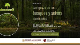 La riqueza de los bosques y selvas mexicanos Dr Carlos Galindo Leal CONABIO [upl. by Modeerf]