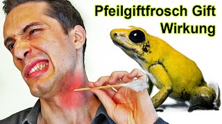 Wie ist es wenn dich ein Giftpfeil trifft Pfeilgiftfrösche [upl. by Anawot]