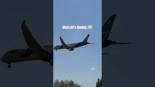 WestJet’s Boeing 787 Dreamliner heathrow boeing boeing787 shorts [upl. by Sumer]