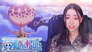 Goodbye Skypiea One Piece React 186195 [upl. by Saphra]