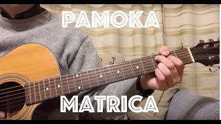 pamoka  quotMatricaquot  Saulius Mykolaitis  akustinė gitara [upl. by Akcira23]