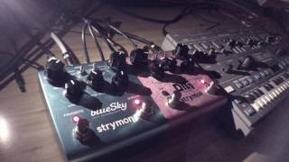 OORA  jam with ROLAND MC202 and STRYMON fxs [upl. by Mauldon980]