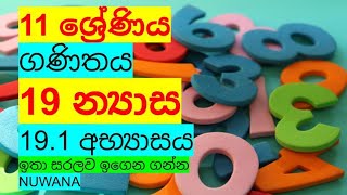 grade 11 maths191 අභ්‍යාසය 19 න්‍යාස nuwana [upl. by Lyndes869]