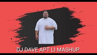 DJ DAVE APT LI MASHUP [upl. by Rico500]