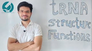 STRUCTURE AND FUNCTION OF tRNA [upl. by Ttessil]