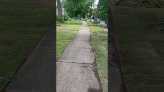 We love fresh laid sod music sod grass lawn landscape business summer new fyp viralvideo [upl. by Barbuto479]