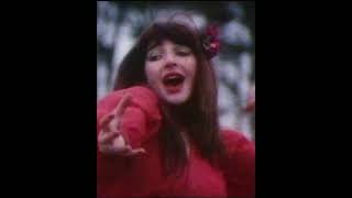 Kate Bush Wuthering Heights 4K shaymcn shortsabba [upl. by Delamare]