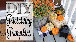 DIY Preserving Real Pumpkins  Make Your Pumpkins LAST [upl. by Lerrud835]