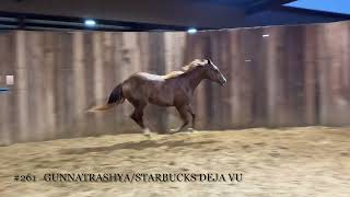 2023 Filly Gunnatrashya x Starbucks Deja Vu [upl. by Reseda42]