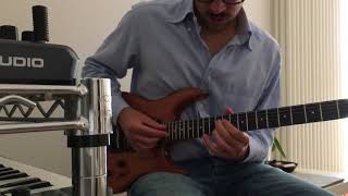 STEINBERGER GR4 Natural Demo [upl. by Garrek125]