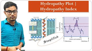 Hydropathy Plot  Hydropathy Index  Cell Biology [upl. by Cotterell]