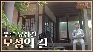 테마기행 길 푸른 유산길 보성의 길  여행 스케치  전주MBC 240906 방송 [upl. by Eednas605]