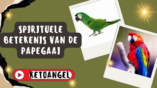 Spirituele Betekenis van de Papegaai Symboliek en Inzichten [upl. by Bonnell549]