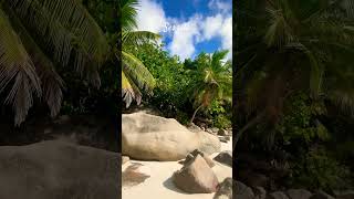 Seszele 😍travel travelvlog shortvideo shorts palm beach seychelles asia views 2024 [upl. by Solrac620]