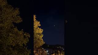 🦇 Pipistrelle bats 🦇 feeding in moonlight around Ventnor [upl. by Anailuj941]