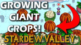 Stardew Valley  Giant Crops [upl. by Akemehs]