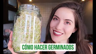 CÓMO HACER BROTES DE LENTEJA Y QUINOA EN CASA 🌱 [upl. by Dibrin]