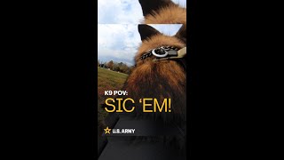 POV SIC EM  US Army [upl. by Eisele]