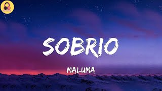 MalumaSobrio LetraLyrics [upl. by Laval179]