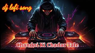 Chandni Ki Chadar Tale l dj lofi song l new song 2024 l Music Maestro [upl. by Arracat]