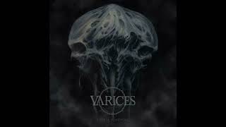 Varices  The Deluge Melodic Death Metal [upl. by Noyrb]