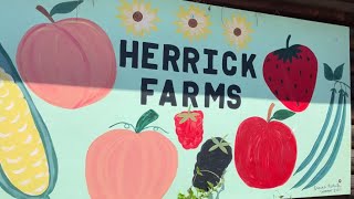 Visiting Herrick Farms in Eugene Oregon [upl. by Llamaj]