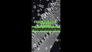 What is Phosphatidylserine [upl. by Tnilc]