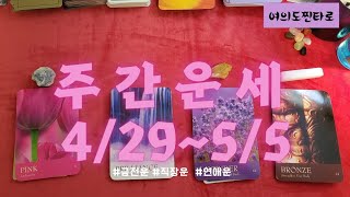 주간타로 이번주는 어떤 행운이 42955 금전운 사업운 직장운 학업운 연애운 건강운 [upl. by Irv428]