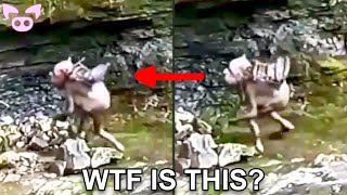 Creepy Stuff Caught on Camera You Wont Believe [upl. by Klement259]