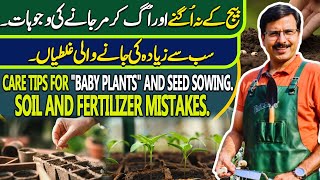 Care Tips for quotBABY PLANTSquot amp Seed Sowing Soil amp fertilizer mistakes  Gardening With Javed Iqbal [upl. by Yebot275]