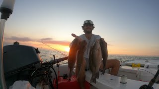 Mangrove Snapper Limit  Florida Saltwater Fishing  Florida Keys Fishing  Live Bait Fishing [upl. by Noreh327]