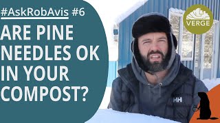 Are Pine Needles OK in Compost Does Mulch Species Matter AskRobAvis 006 [upl. by Arykat]