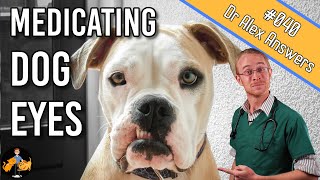 How To Give a Dog Eye Drops when they hate it  Dog Health Vet Advice [upl. by Auoh676]